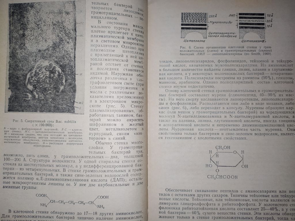 книга: ОСНОВЫ ОБЩЕЙ МИКРОБИОЛОГИИ, ВИРУСОЛОГИИ И ИММУНОЛОГИИ. II-е изд. 1977г. - фото фото фото 4