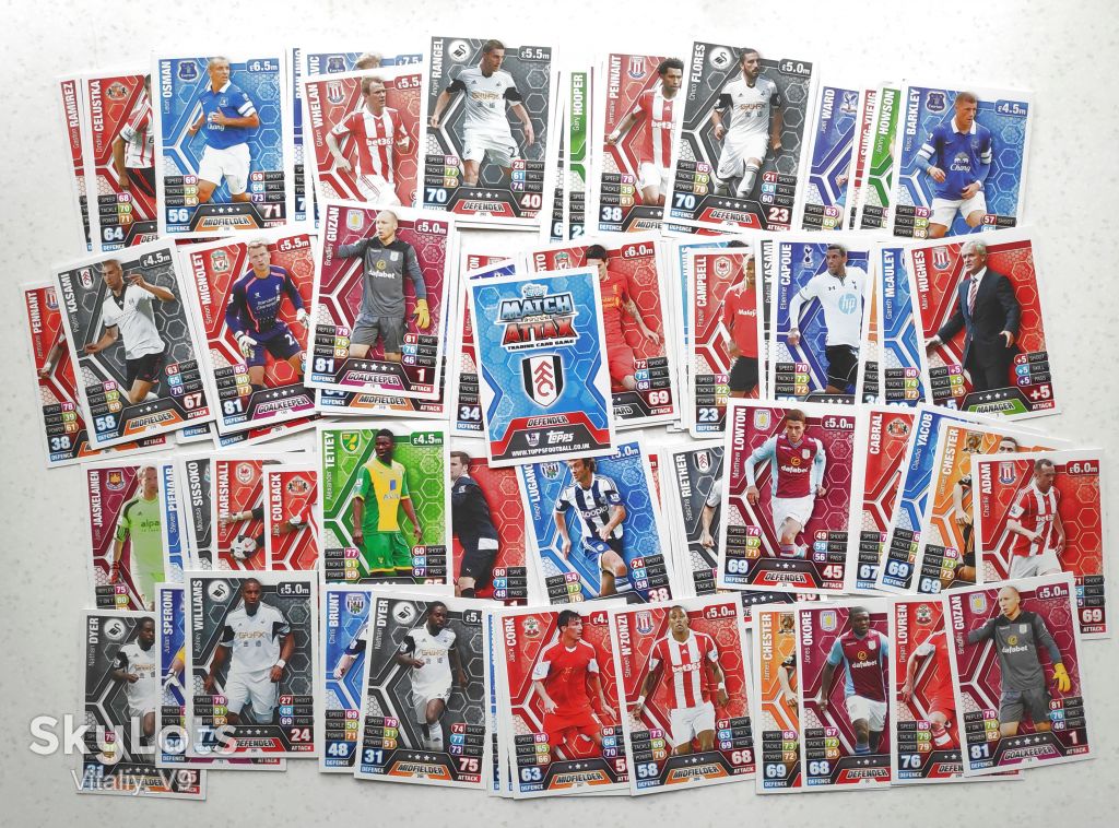 Футбольные карточки Match Attax  2013/14 Premier League - фото фото фото 0