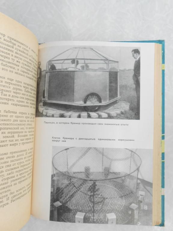 Акимушкин Игорь. Куда? И как? Рассказы о природе. - фото фото фото 4