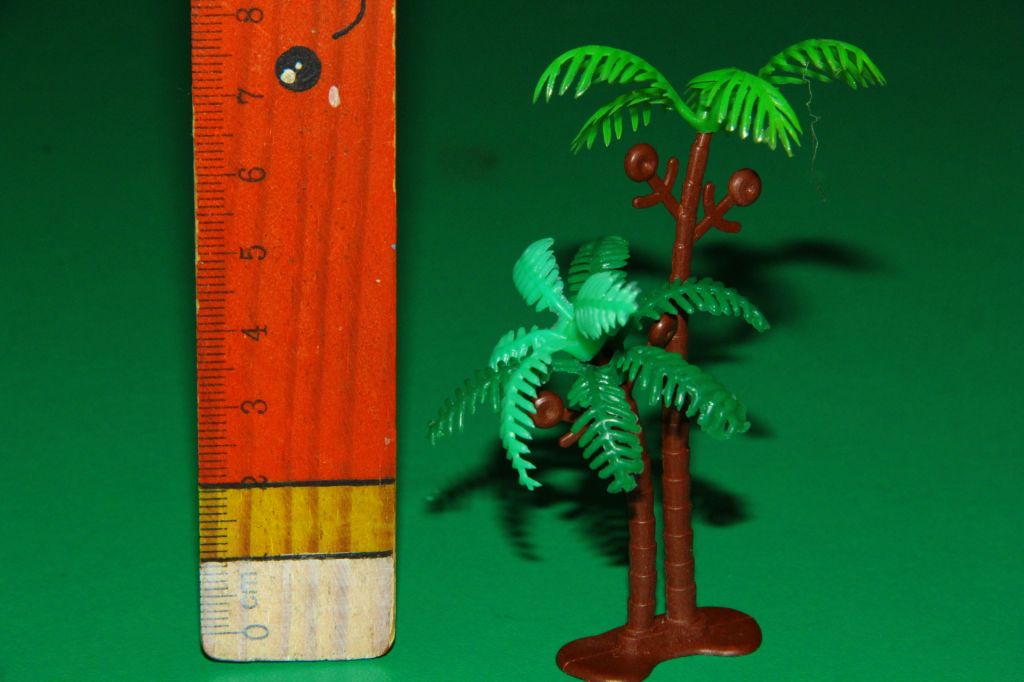 ПАЛЬМА кущ дерево чагарник Китай УЦІНКА - фото фото фото 0