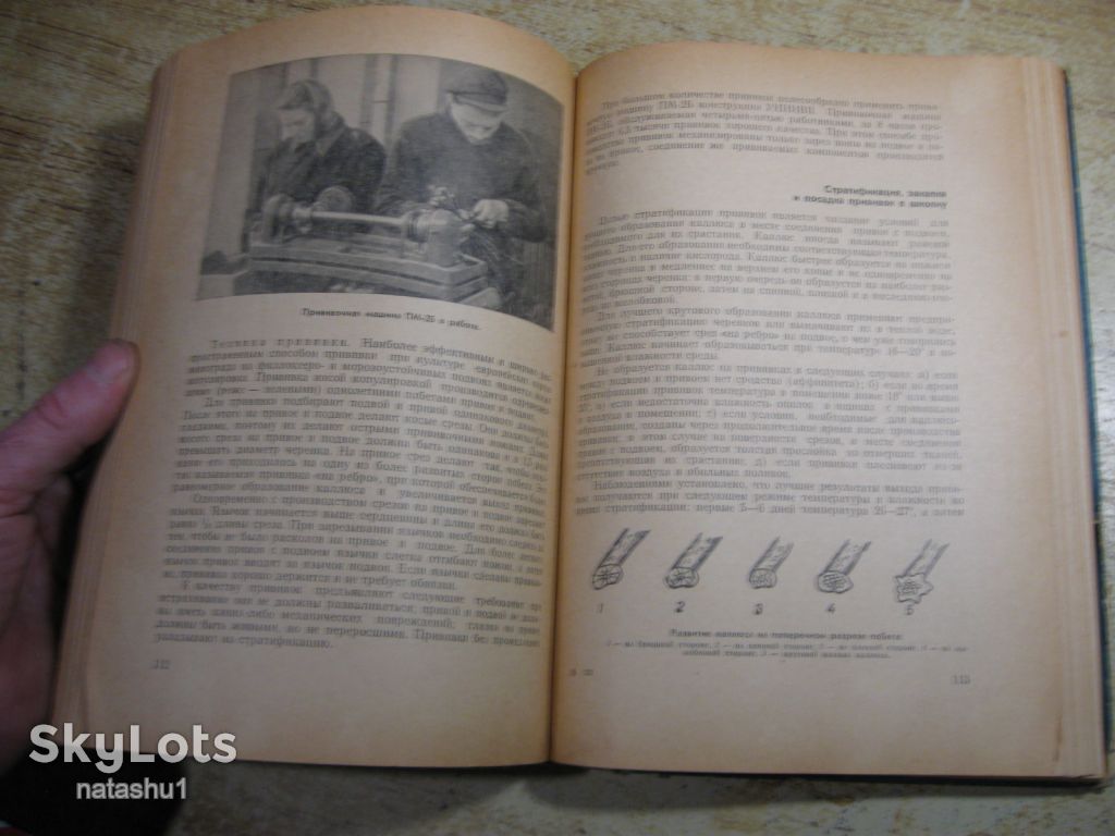 настольная книга виноградаря 1967г - фото фото фото 9
