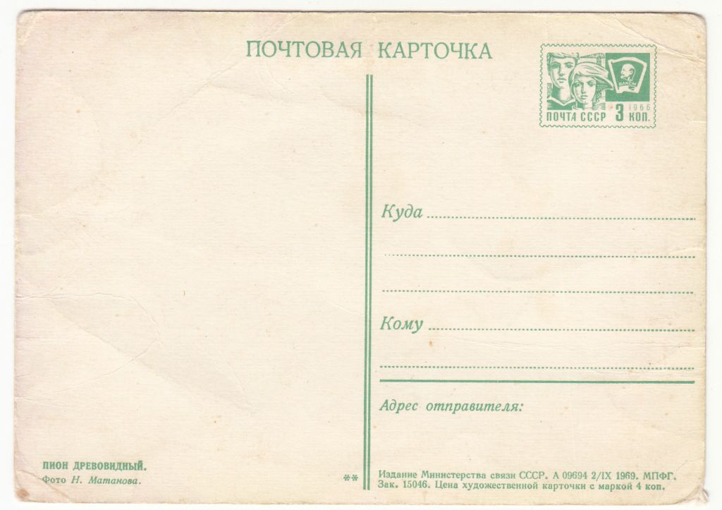 Пион древовидный 1969 Матанова Р11В - фото фото фото 1