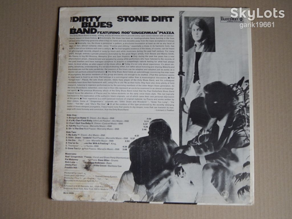 The Dirty Blues Band  ‎– Stone Dirt  (Bluesway ‎– BLS-6020, US) VG+/EX+ - фото фото фото 1