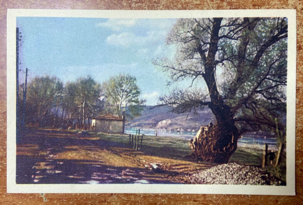 Стара листівка. Мистецтво - фото фото фото 0