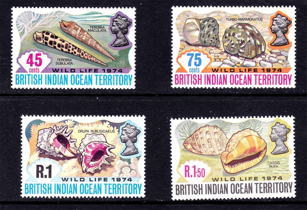 NM Фауна БИОТ / BIOT 1974 г MNH - ракушки - фото фото фото 0