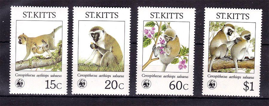 Фауна . Ст. Киттс 1984 г MNH - обезьяны - WWF - фото фото фото 0
