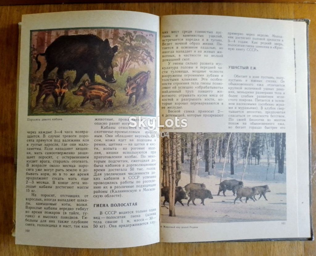 Герасимов. Животный мир нашей Родины. Пособие для учителей - фото фото фото 7