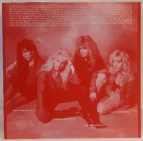 Vixen - Rev It Up - 1990.  (LP). 12. Vinyl. Пластинка. ЕЕС. - фото фото фото 2