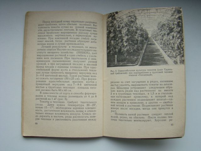 Брошюра Томаты, 1966 г. - фото фото фото 4