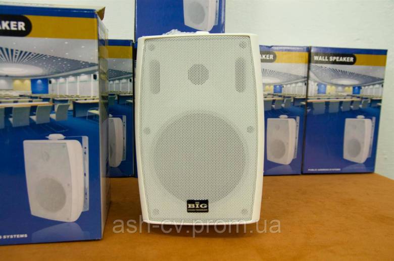 Акустика настінна BIG MSB-504 Pro (White, Canada) - фото фото фото 4
