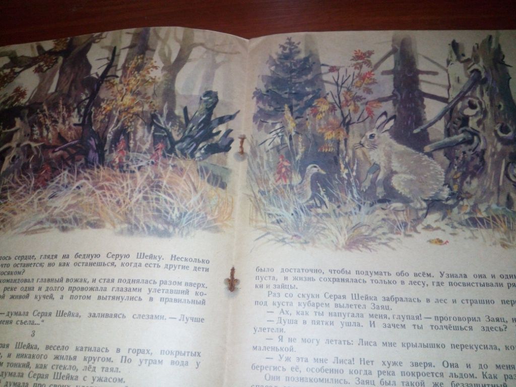 Мамин-Сибиряк СЕРАЯ ШЕЙКА  (Книжка-картинка) - фото фото фото 6