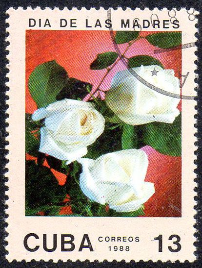 Куба 1988 - Квіти  (Г) - фото фото фото 0