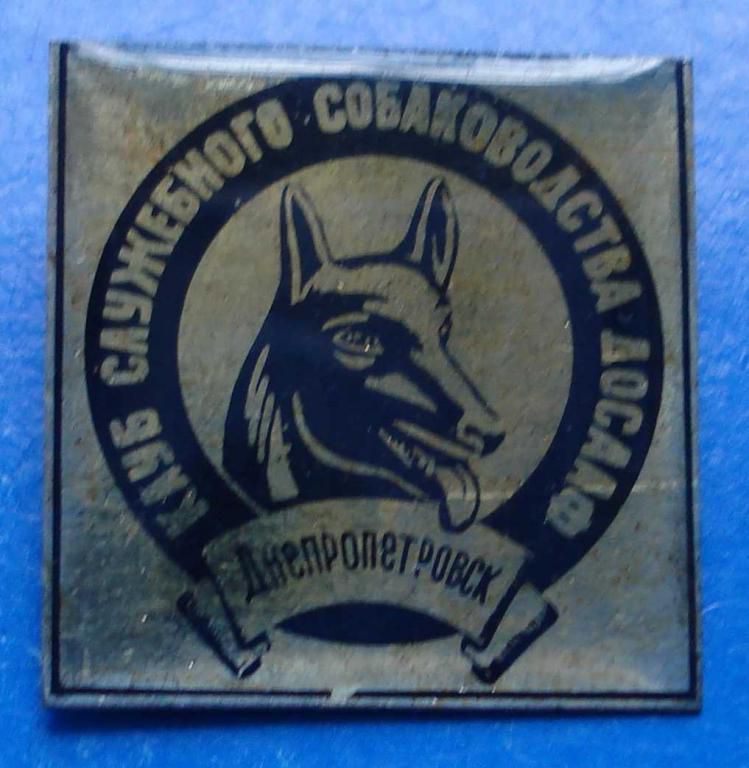 клуб служебного собаководства ДОСААФ - фото фото фото 0