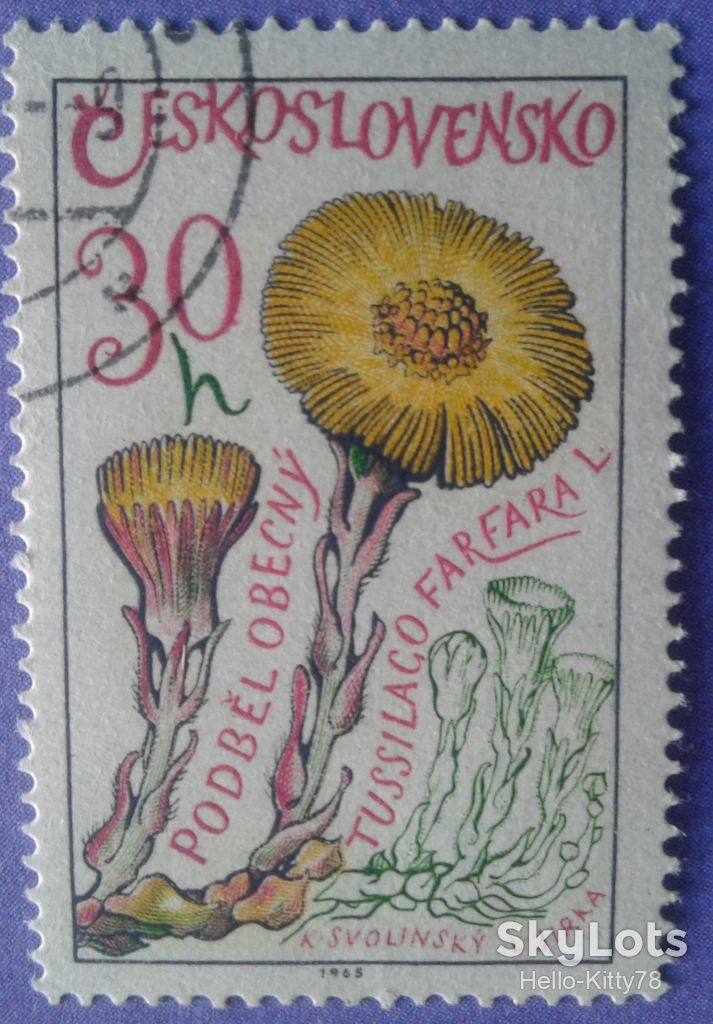 Чехословакия 1965 флора цветы Mi 1583 - фото фото фото 0