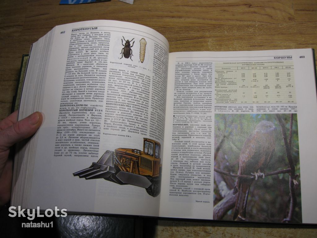 лесная энциклопедия 1985-86г - фото фото фото 5