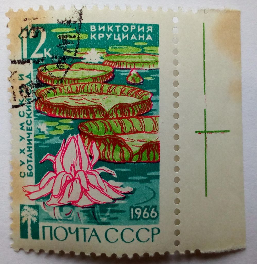 СССР 1966 Сухумский ботанический сад, 12к., гашеная - фото фото фото 0