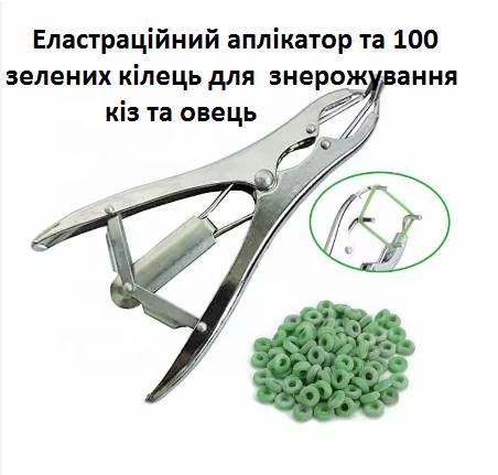 Комплект щипцы-апликатор + резиновые зеленые кольца (100 шт) для безкровной кастрации и обезроживани - фото фото фото 0