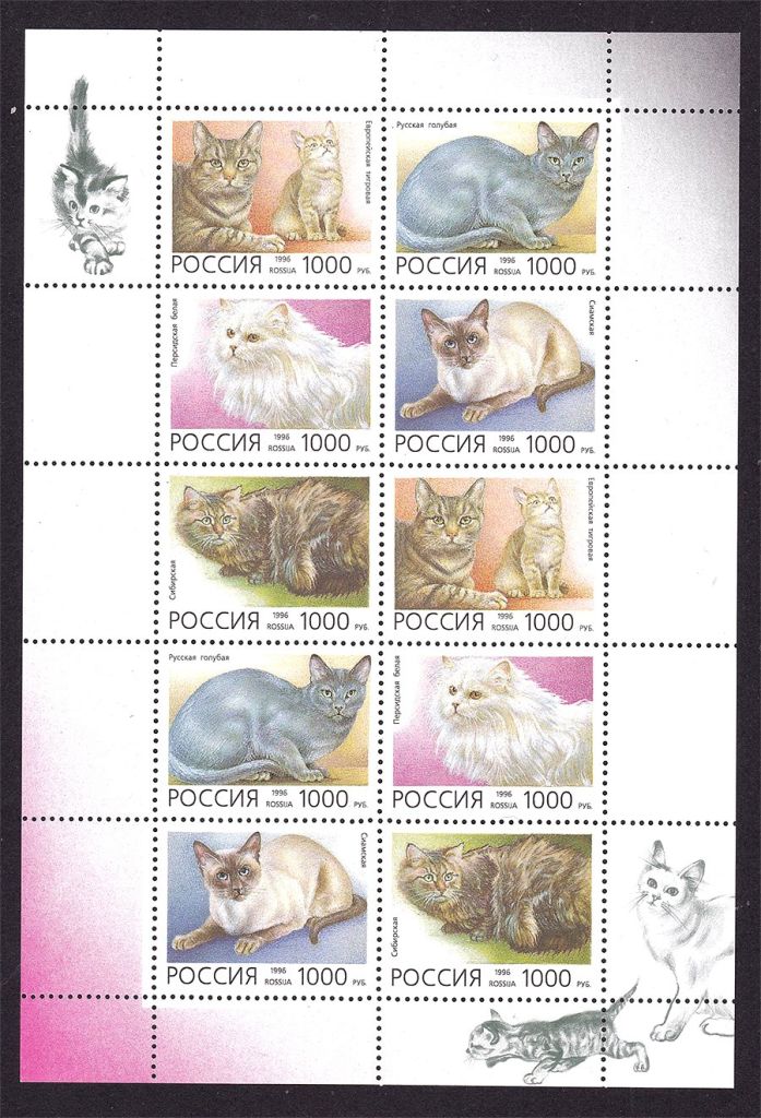 Фауна . Россия  1996  г  MNH - к/б - кошки - фото фото фото 0