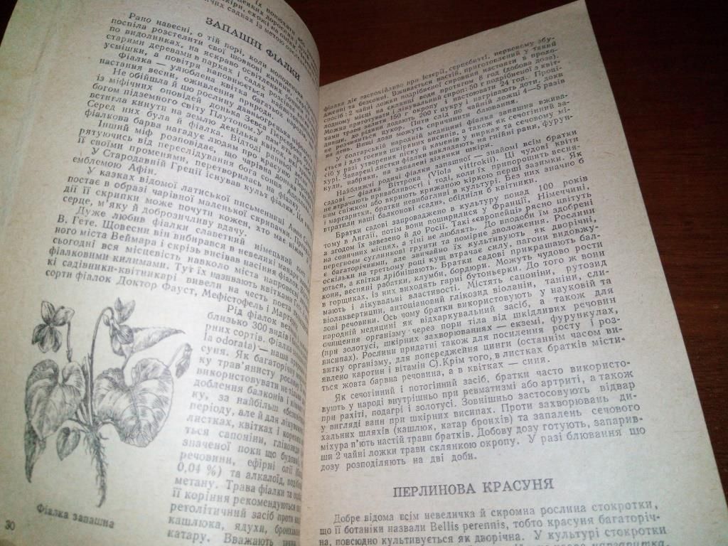 Цілюща флора у Вашій кімнаті  (Приходько С.М.) - фото фото фото 4
