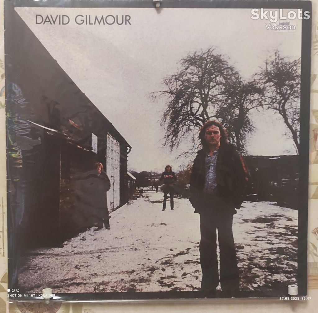 DAVID GILMOUR   ( Pink Floyd ) G/F  NM/NM+ - фото фото фото 0