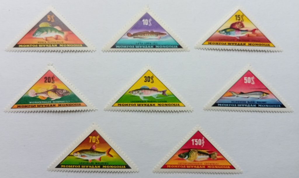 Монголия 1962 Рыбы, MNH - фото фото фото 0