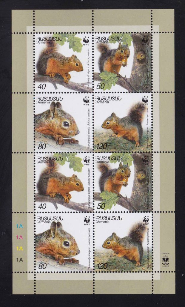 NM  Армения 2001 г  MNH - к/б - белка - фото фото фото 0