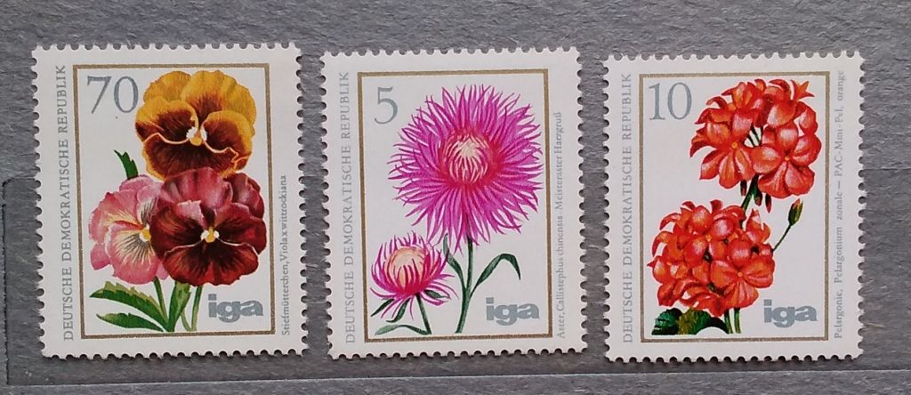 ГДР 1975 г - цветы - фото фото фото 2