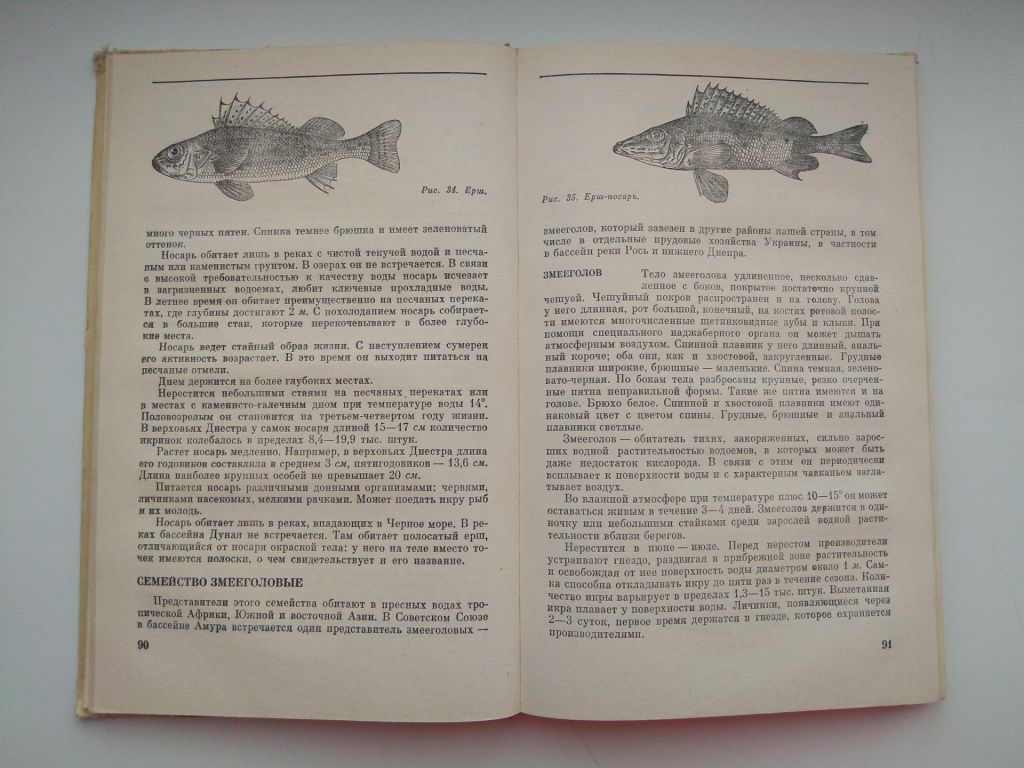 Б.Куркин Любительское рыболовство Рыбалка - фото фото фото 6