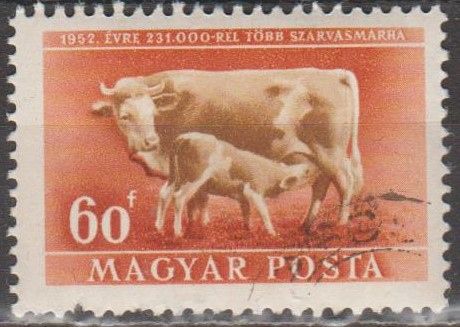 Венгрия Угорщина 1951 фауна - фото фото фото 0