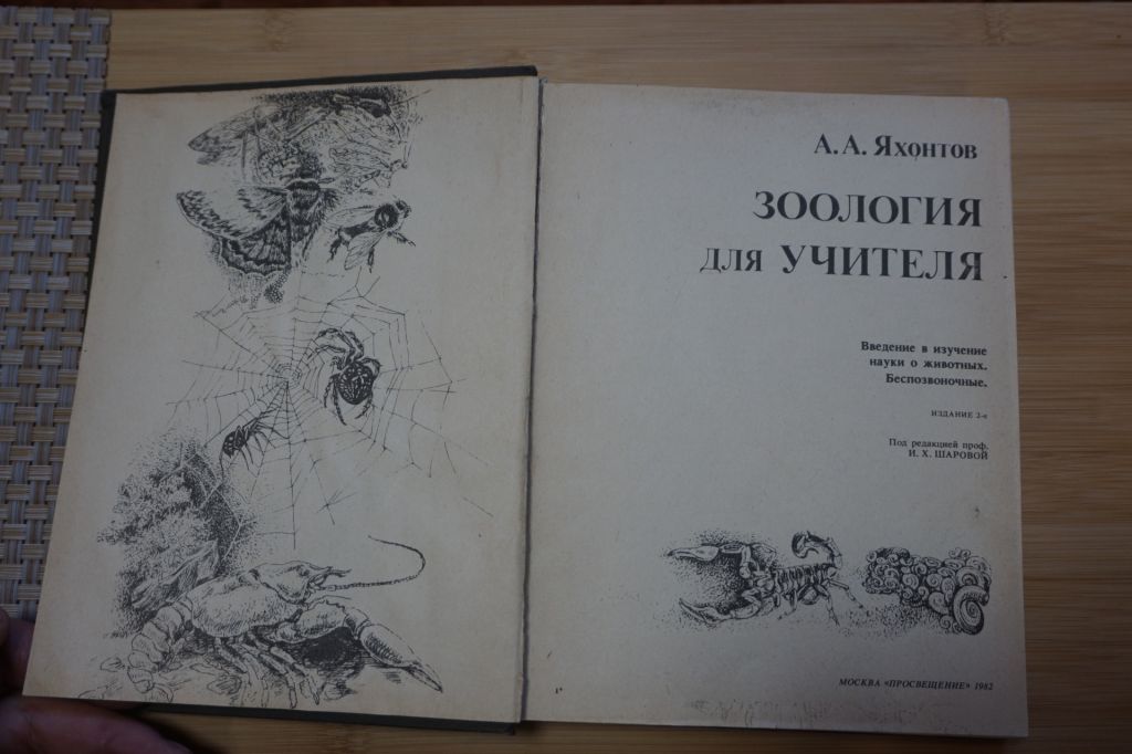Яхонтов А. А. Зоология для учителя. - фото фото фото 1