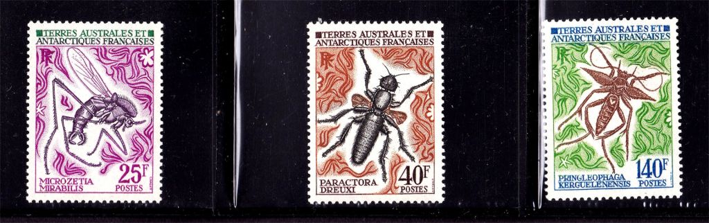 Фауна ТААФ / TAAF 1972 г  MNH - насекомые - фото фото фото 0