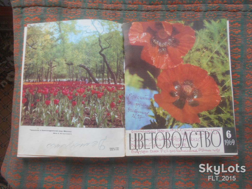 Цветоводство  1969 г.  Годовая - фото фото фото 6