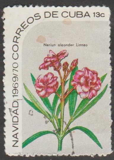 Куба 1969 флора цветы - фото фото фото 0