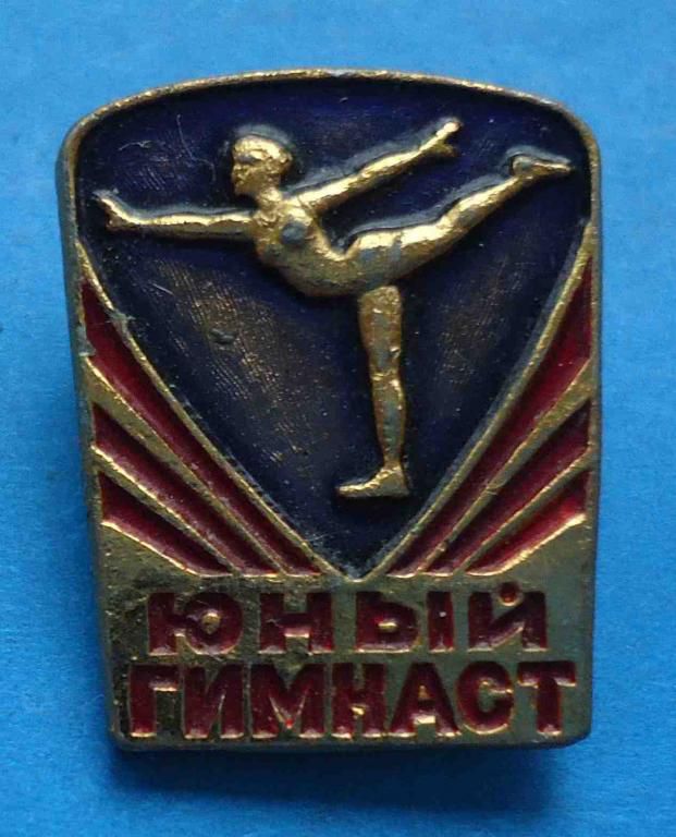 Юный гимнаст девушка - фото фото фото 0