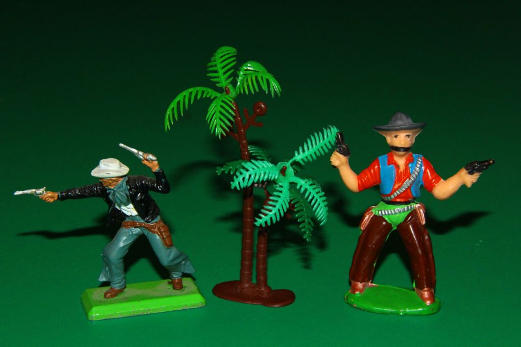ПАЛЬМА кущ дерево чагарник Китай УЦІНКА - фото фото фото 1