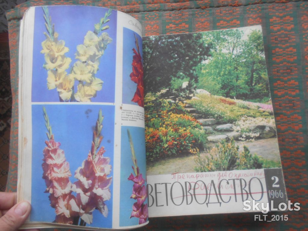 Цветоводство  1966 г.  Годовая - фото фото фото 2