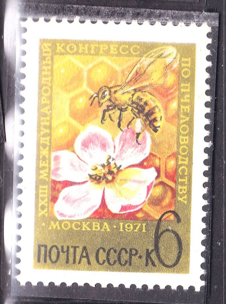 СССР 1971 г  MNH - пчела - фото фото фото 0