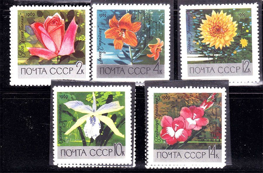 СССР 1969 г MNH - флора - фото фото фото 0