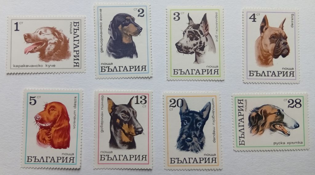 Болгария 1970 Собаки, MNH - фото фото фото 0