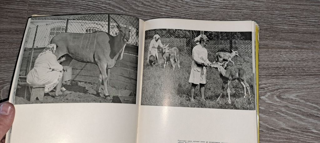 Заповідник Асканія-Нова фотоальбом 1968г. - фото фото фото 3