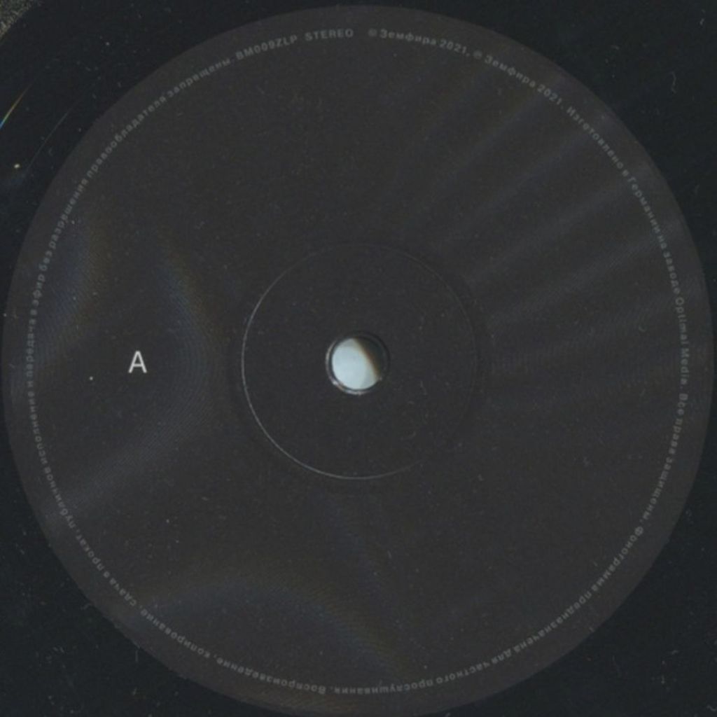 Земфира - Бордерлайн - 2021.   (LP). 12. Vinyl. Пластинка. S/S. - фото фото фото 4