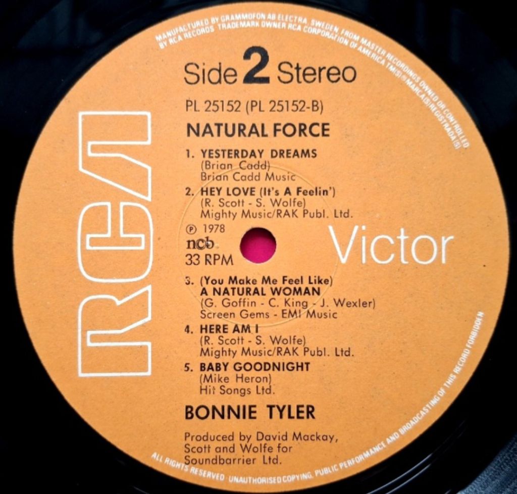 Bonnie Tyler - Natural Force - 1978.   (LP). 12. Vinyl. Пластинка. Sweden. - фото фото фото 5