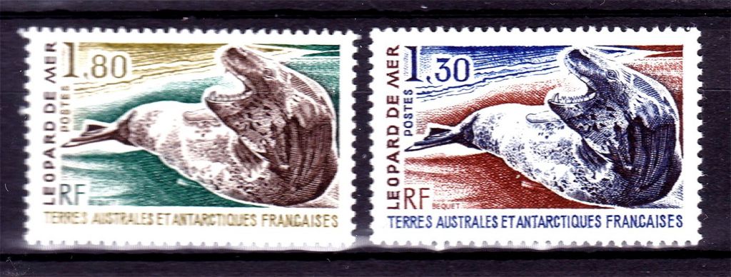 Фауна ТААФ / TAAF 1980 г MNH - леопард - фото фото фото 0