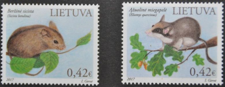 Литва Фауна 2017 - фото фото фото 0