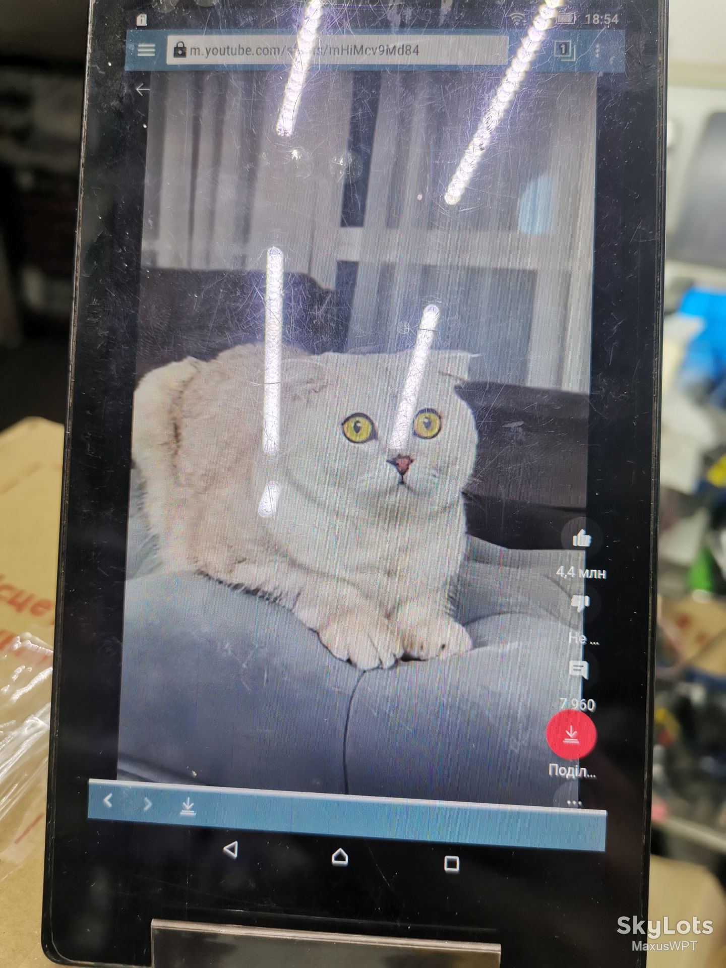 #687 Shop Lenovo Tab 2 A7-30DC White 3G - фото фото фото 9