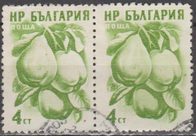 Болгария Болгарія 1957 флора фрукты пара - фото фото фото 0