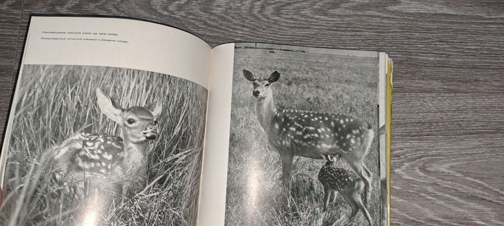 Заповідник Асканія-Нова фотоальбом 1968г. - фото фото фото 5