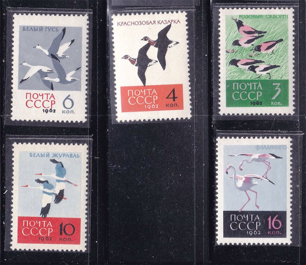 ZM  СССР 1962 г MNH - фауна - птицы - фото фото фото 0