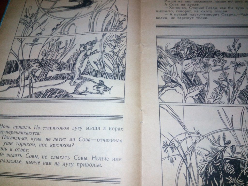 Виталий Бианки СОВА  (Книжка-раскраска) - фото фото фото 3
