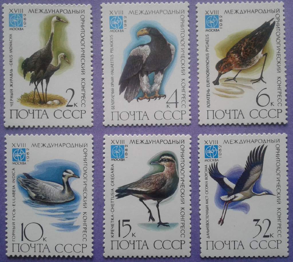 СССР 1982 фауна птицы СК 5231-5236 MNH - фото фото фото 0